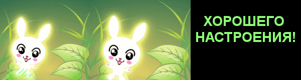 117053952_110592885_240369386.gif